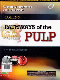 Image of Cohen's pathways of the pulp
